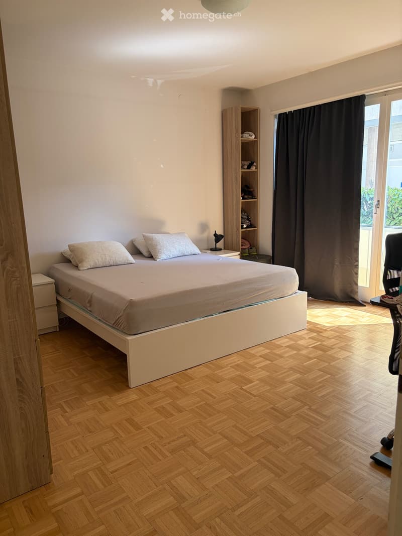 Cerchiamo subentrante 3.5 Lugano centro (1)