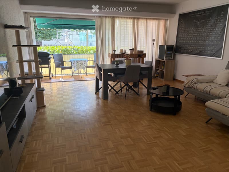 Cerchiamo subentrante 3.5 Lugano centro (2)