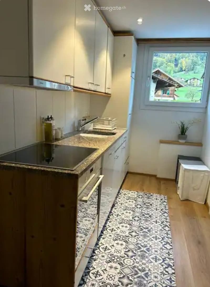 Möblierte Wohnung mit Terrasse, befristet zu vermieten (1)