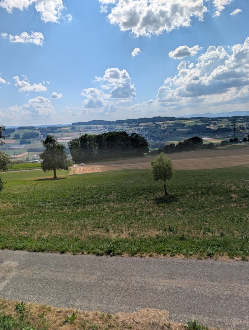 5,5-Zimmer-Wohnung auf idyllischem Bauernhof (4)
