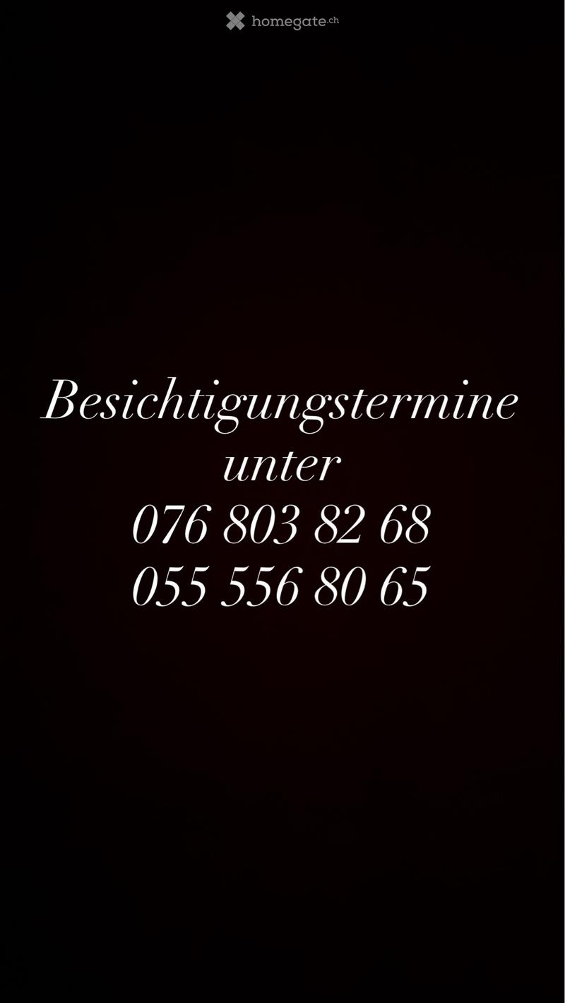 3½-Zimmer-Dachwohnung (2)