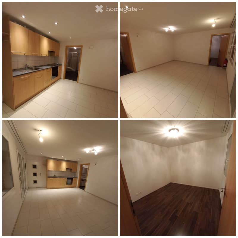 helle 2.5 Zimmer Wohnung (1)