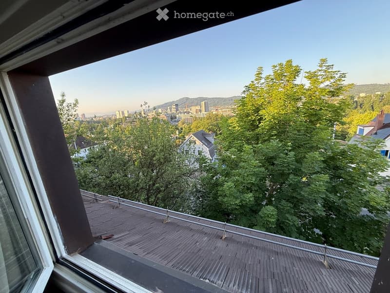Grosszügiges Dachzimmer in WG-Haus mit Garten in ZH-Höngg (5)