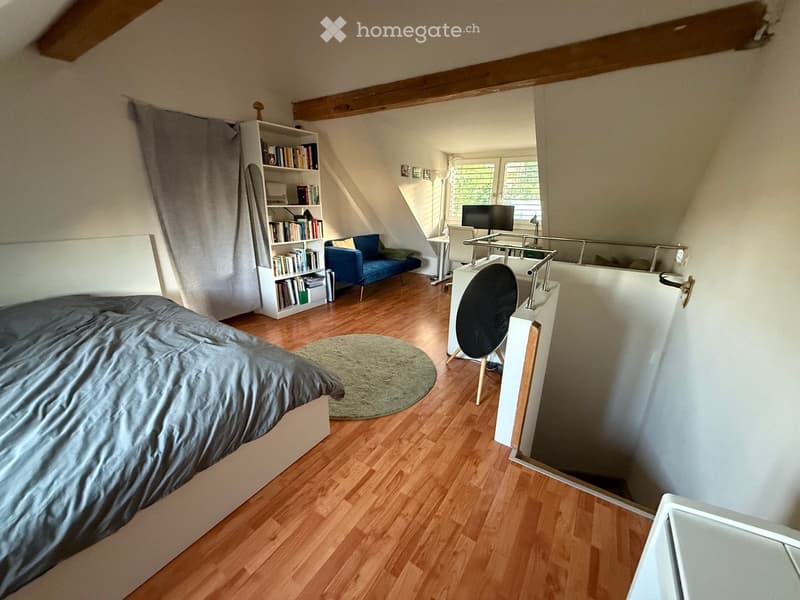 Grosszügiges Dachzimmer in WG-Haus mit Garten in ZH-Höngg (2)