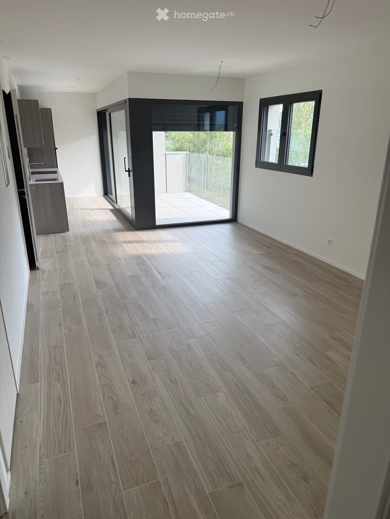 Affittasi - vendesi appartamento vista lago (1)