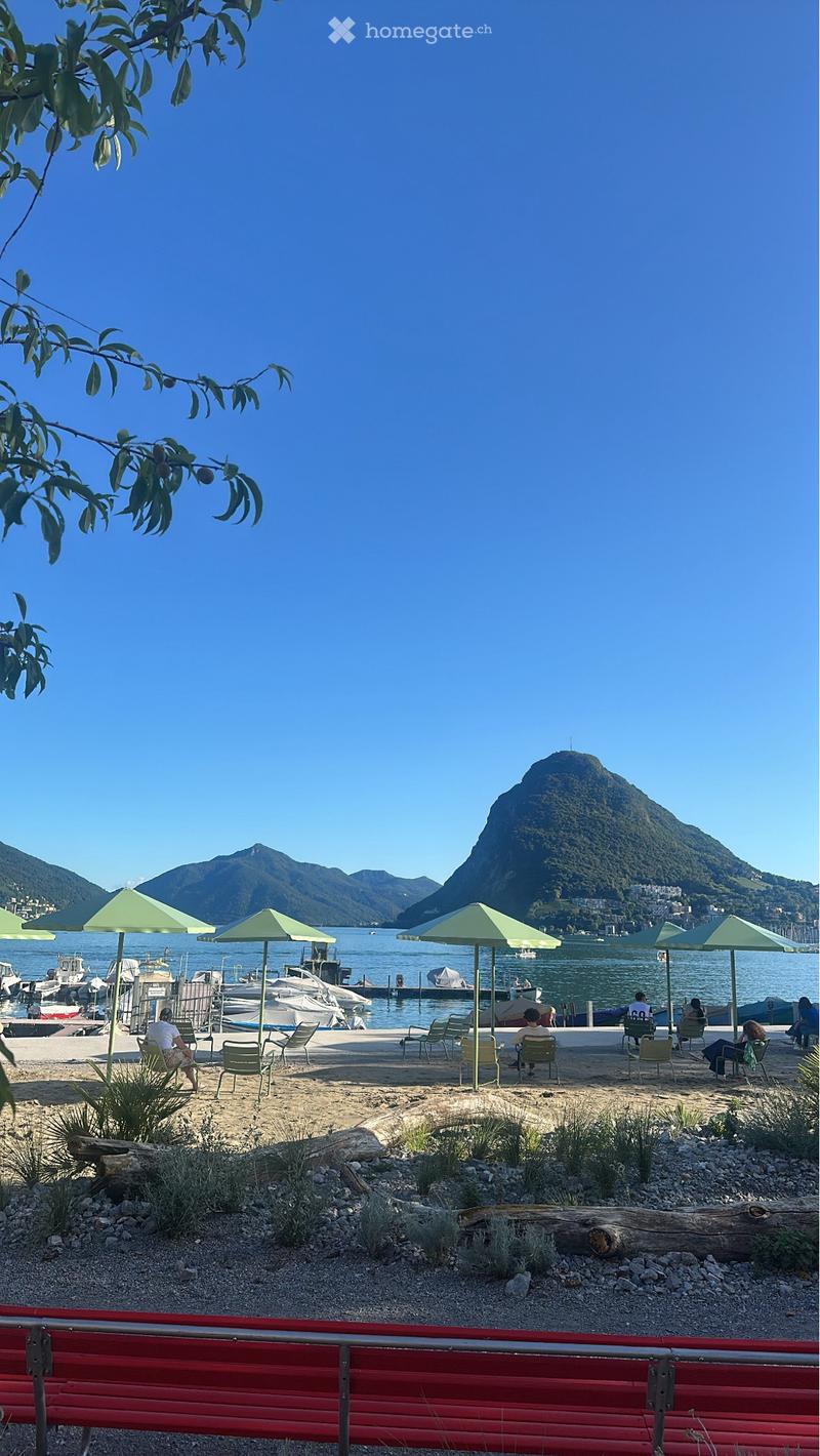 Appoggio saltuario su divano letto in un monolocale a Lugano (1)