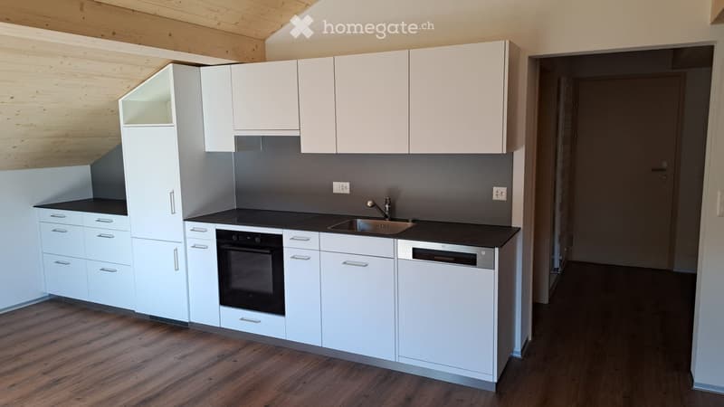 neu renovierte Wohnung (1)