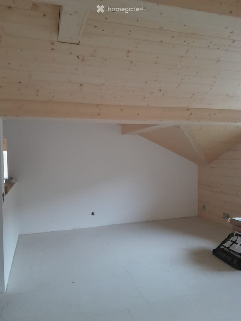 neu renovierte Wohnung (5)