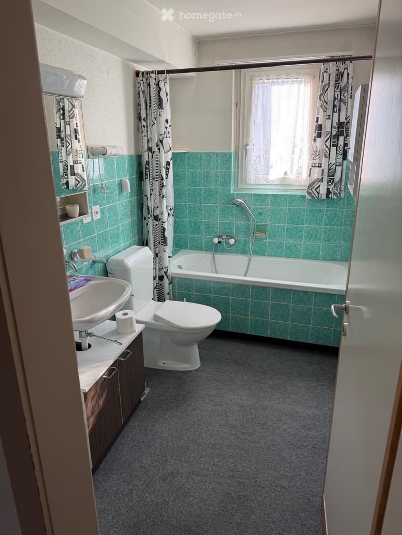 Zwei Familien Haus (4)