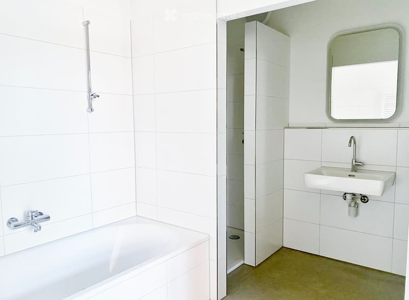Loft-Wohnung in Liestal zwischen Bahnhof und Altstadt (3)