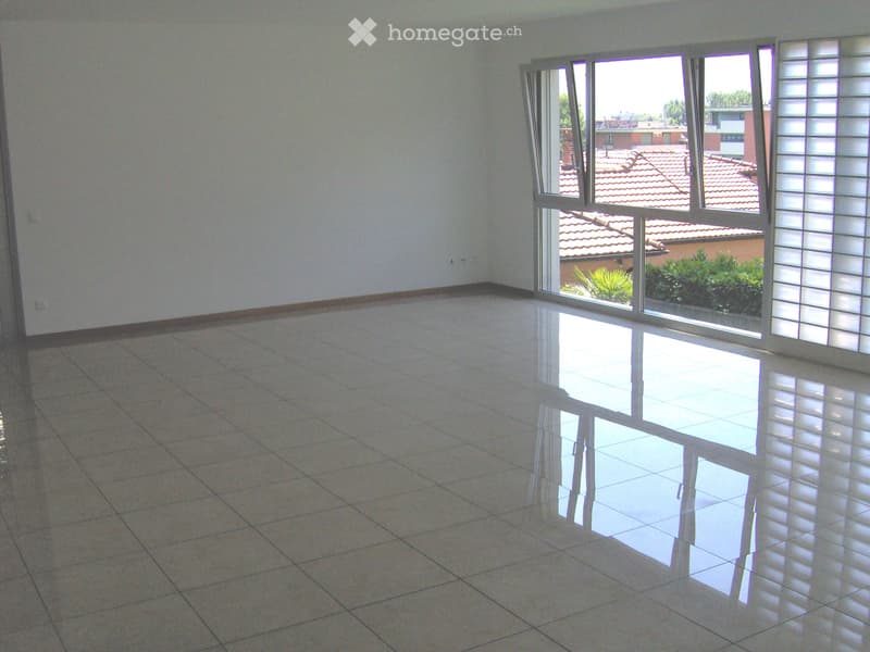 Massagno, affittasi appartamento PT / 5 locali (1)