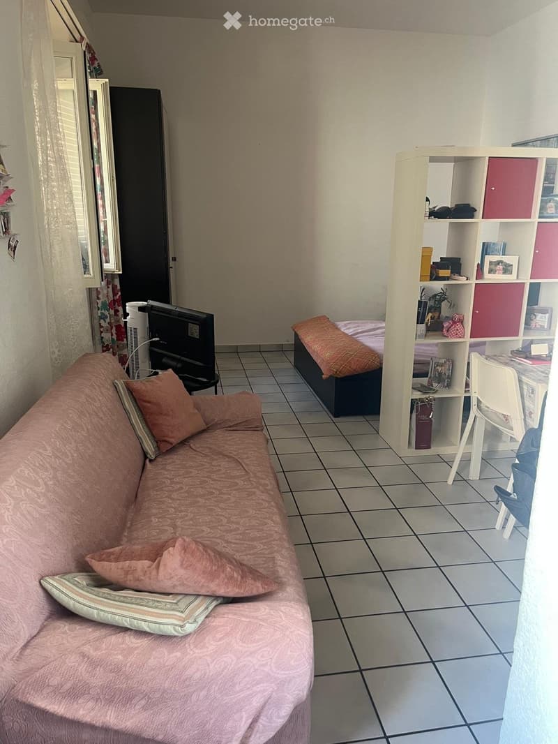 Monolocale arredato (3)