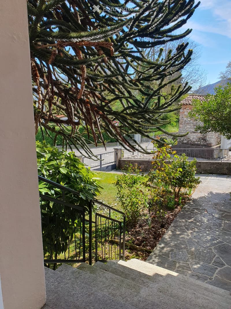 Villa singola con giardino (UN CANE o GATTI ACCETTATI) (5)