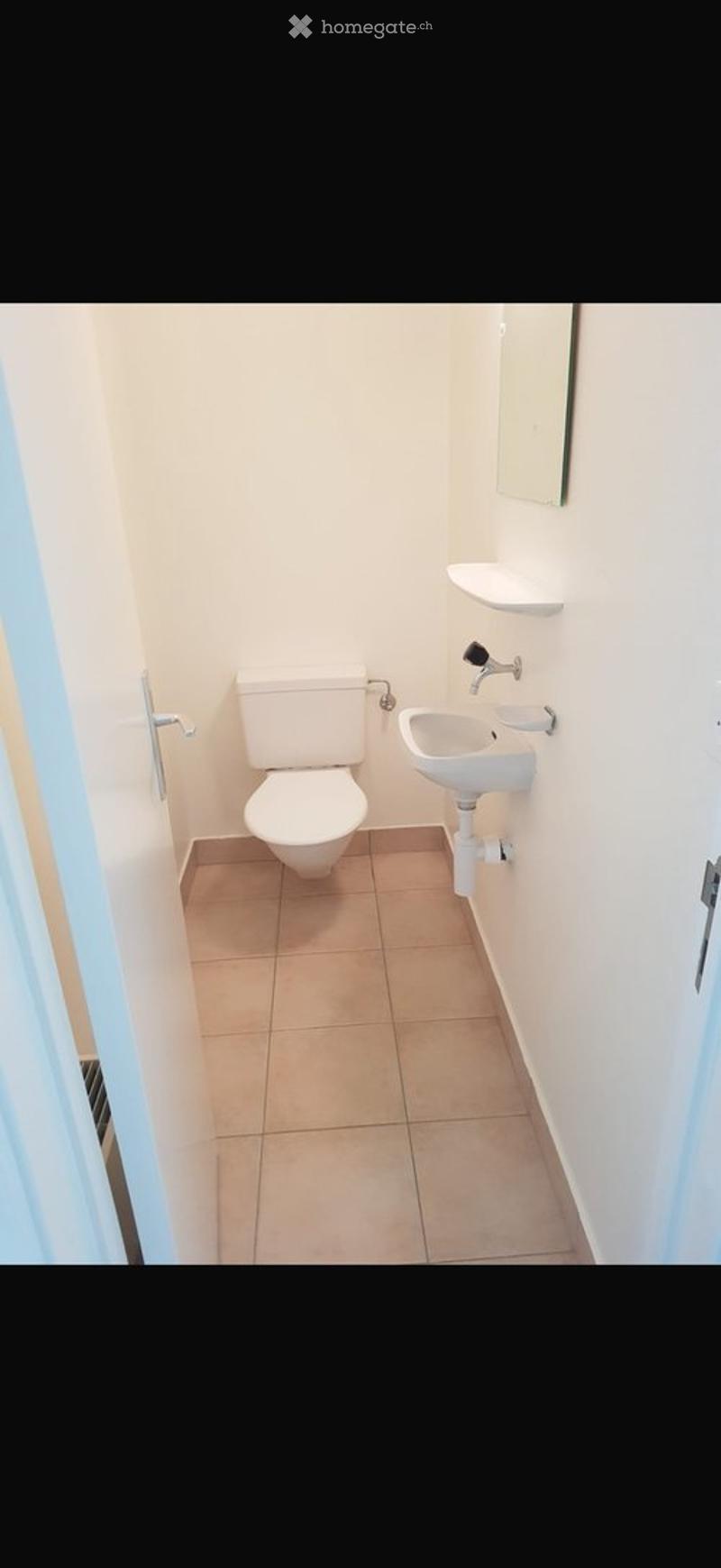 Joli appartement 3.5 pièces et 76m2 lumineux avec balcon. (1)