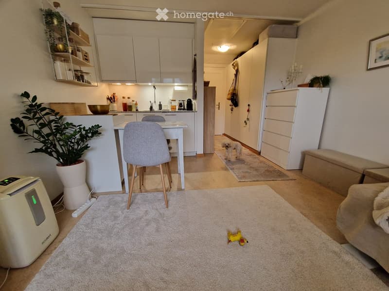Schöne Studiowohnung in Uster mit grosser Terrasse (1)