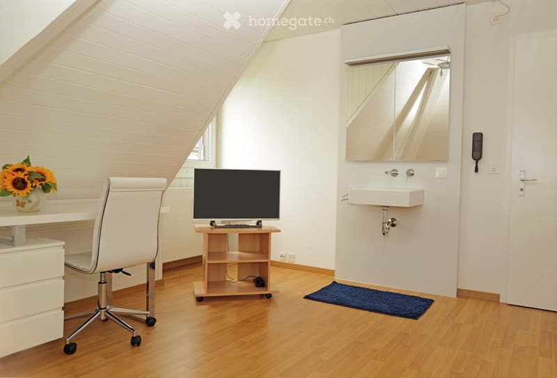 Möbliertes Zimmer Stadt Bern (Obstberg/Schosshalde) (3)