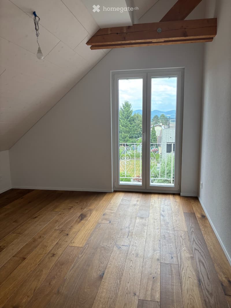 4.5ZiDachwohnung 180m² 20 - 25 Min nach Basel (4)