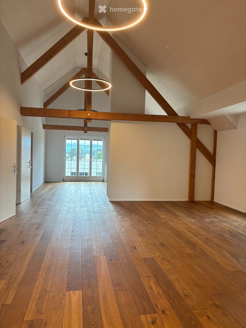 4.5ZiDachwohnung 180m² 20 - 25 Min nach Basel (1)
