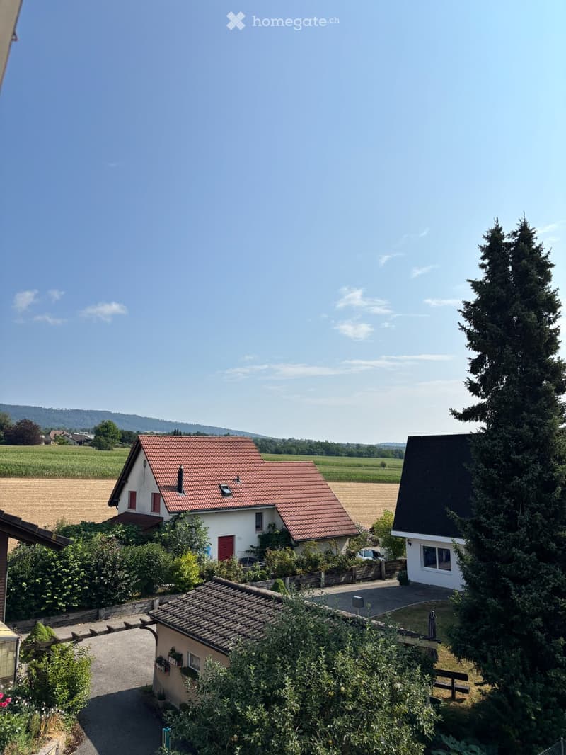 4.5ZiDachwohnung 180m² 20 - 25 Min nach Basel (5)