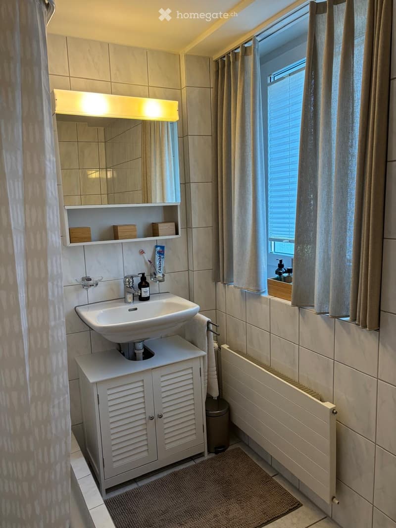 Helle Single-Wohnung im Loft-Stil per 01.08. oder n.V. (3)