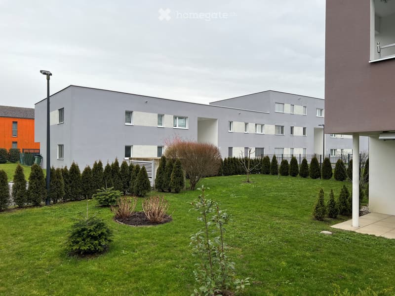 Neuwertige 2.5-Zimmerwohnung, temporär (2)
