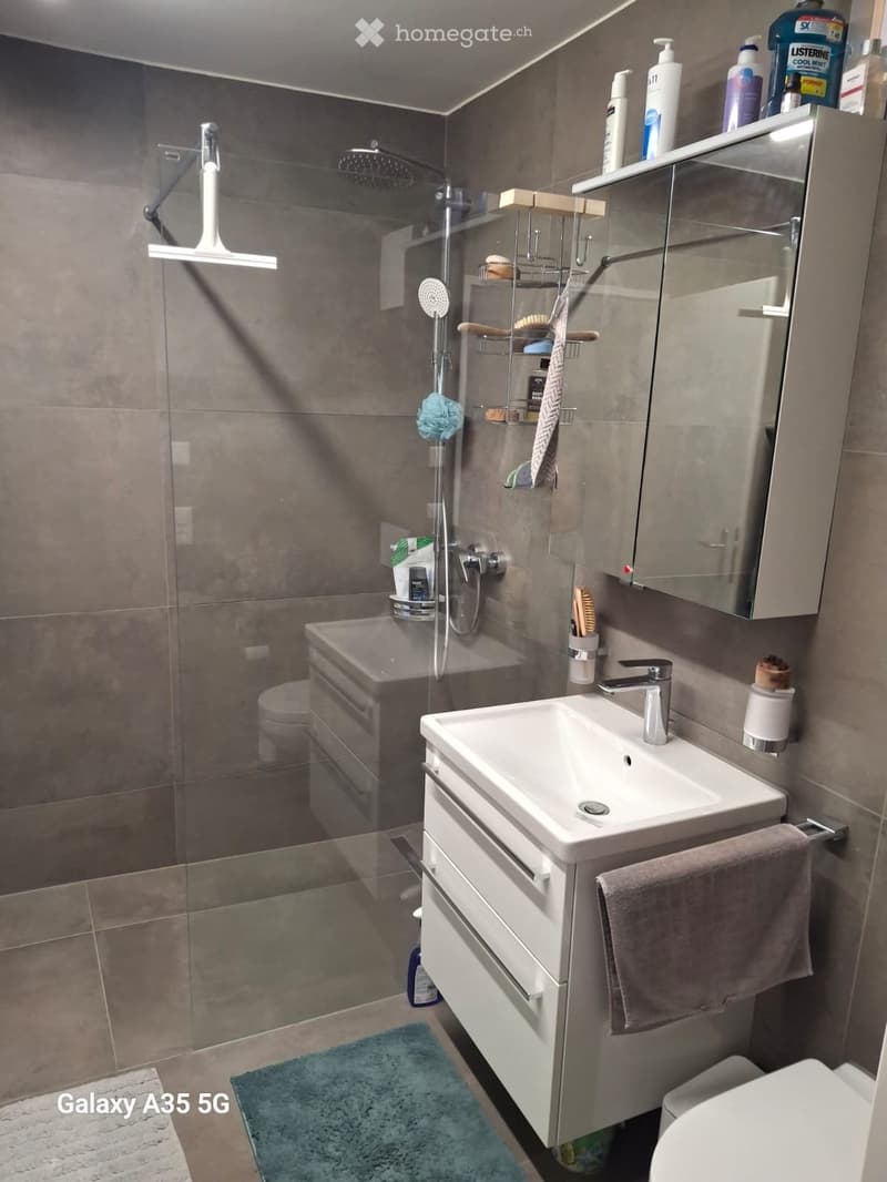 Moderne 3,5 Zimmer Wohnung im nebelfreiem Zürcher Oberland (4)