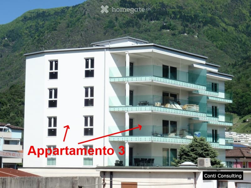 Splendido appartamento a Bellinzona (1)