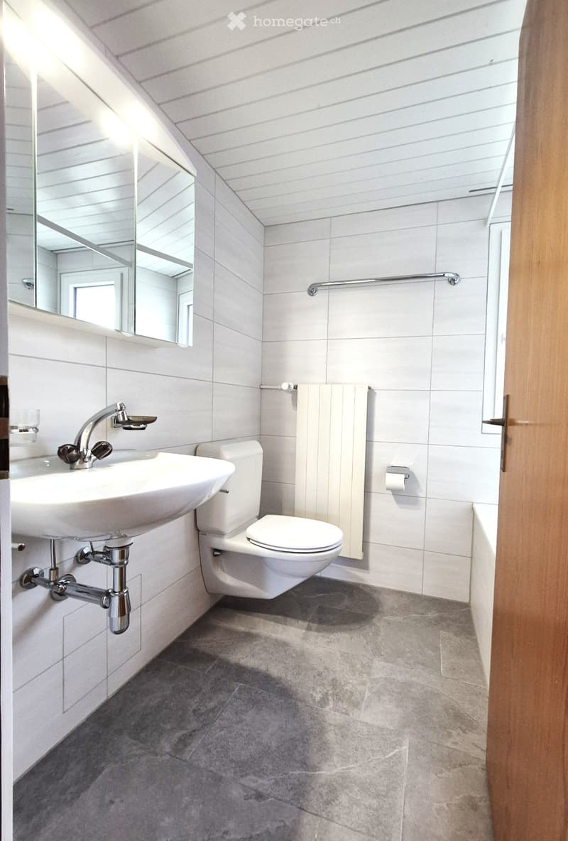 2 ½ Zimmer-Wohnung im malerischen Berlingen am Untersee (3)
