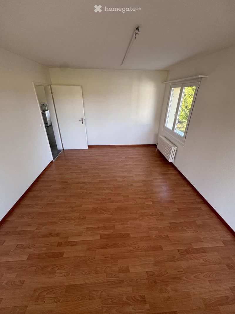 Nachmieter gesucht per sofort (5)