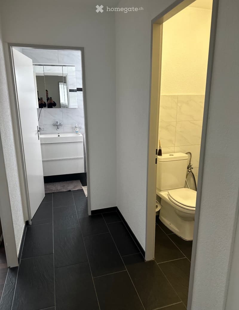 4.5 Zimmer, 95 m², 1. Stock möbliert reiden (5)