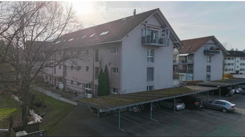 3,5-Zimmer-Parterrewohnung mit Gartensitzplatz (1)