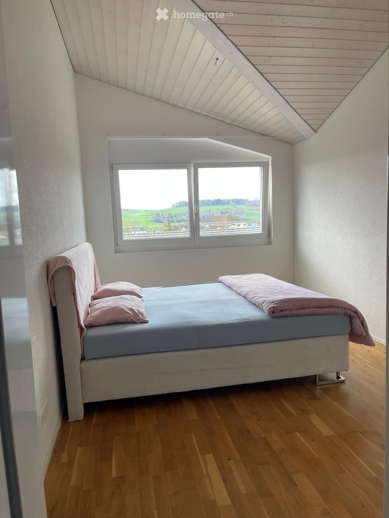 3.5 Zimmer-Dachgeschosswohnung mit Galerie (10 Min. Sursee) (2)