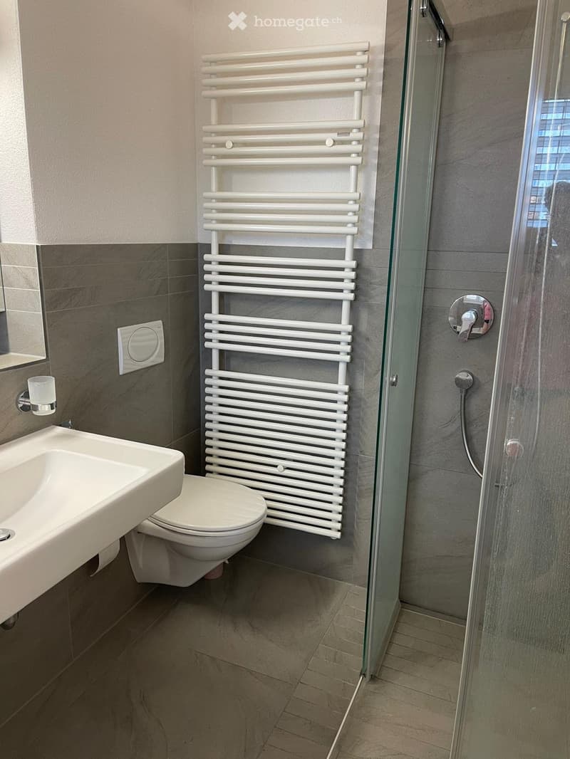 3.5 Zimmer-Dachgeschosswohnung mit Galerie (10 Min. Sursee) (4)