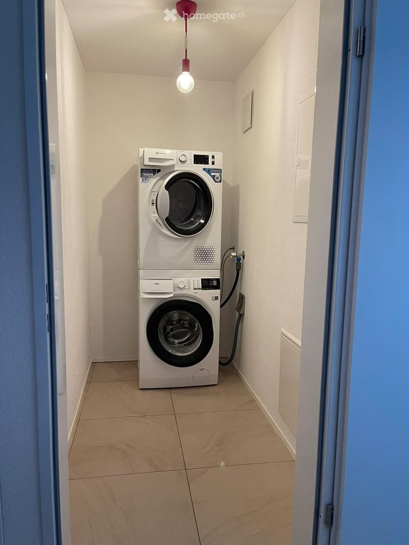 3.5 Zimmer-Dachgeschosswohnung mit Galerie (10 Min. Sursee) (5)