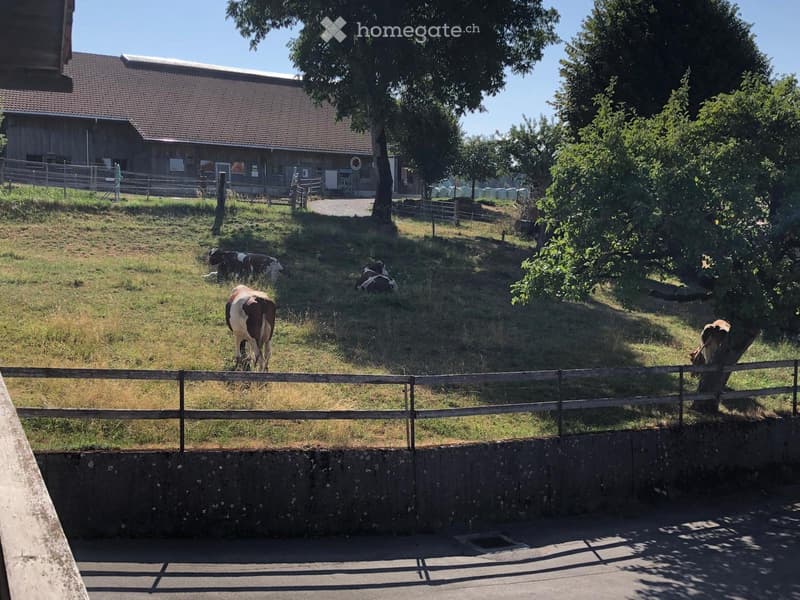 Stöckli auf dem Land (5)