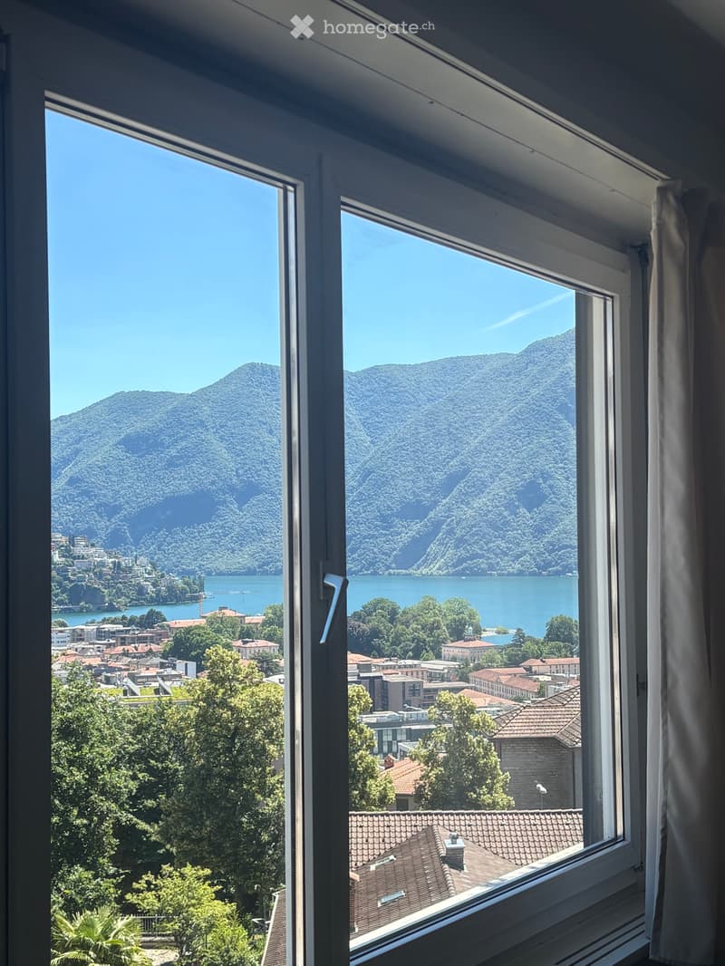 Occasione subentro splendido 1.5 locali Massagno (1)