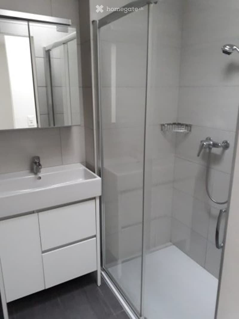 Casa di nucleo - 2.5 locali con giardino privato e posteggio (3)
