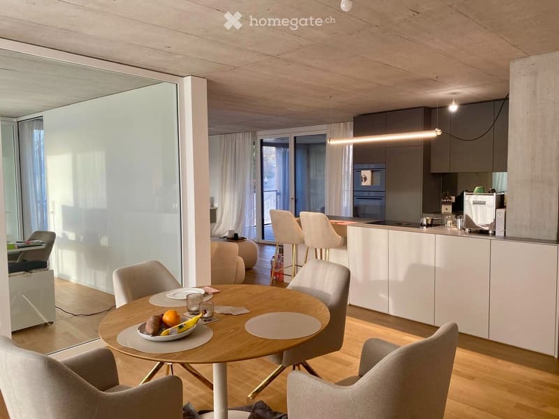 Moderne 4.5-Zimmer-Wohnung mit Weitblick (1)