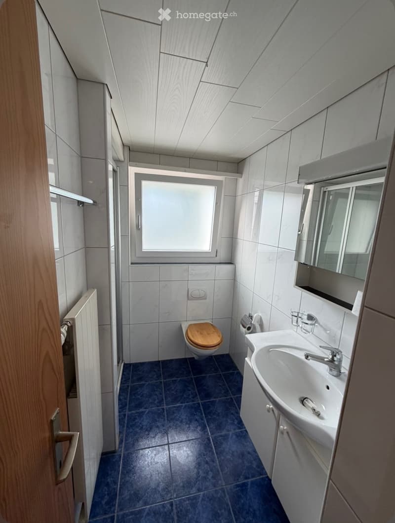 4 - Zimmerwohnung (3)