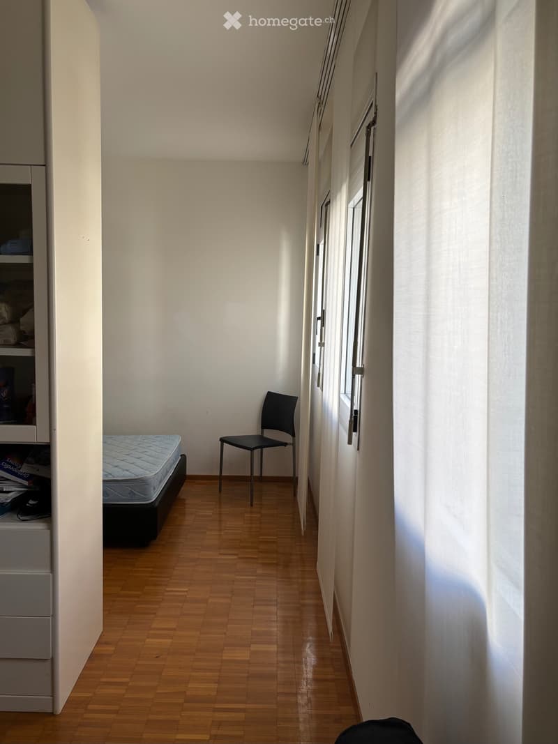 Luminoso appartamento di 1.5 locali in Via Trevano, Subentro (3)