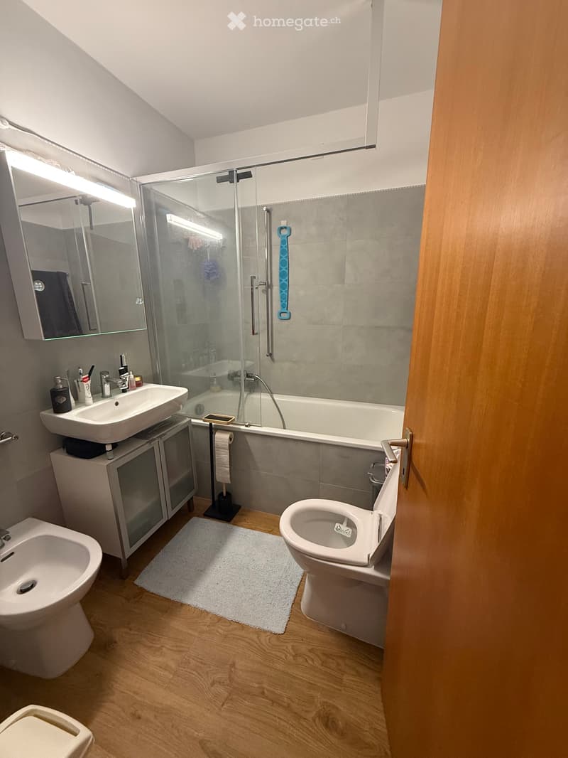 Cerco subentrante 2 locali ristrutturato (5)