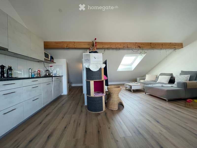 Einzigartige 3.5-Zimmer mit traumhafter Dachterrasse (3)
