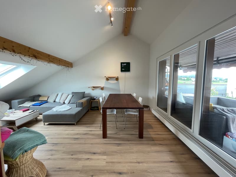 Einzigartige 3.5-Zimmer mit traumhafter Dachterrasse (4)