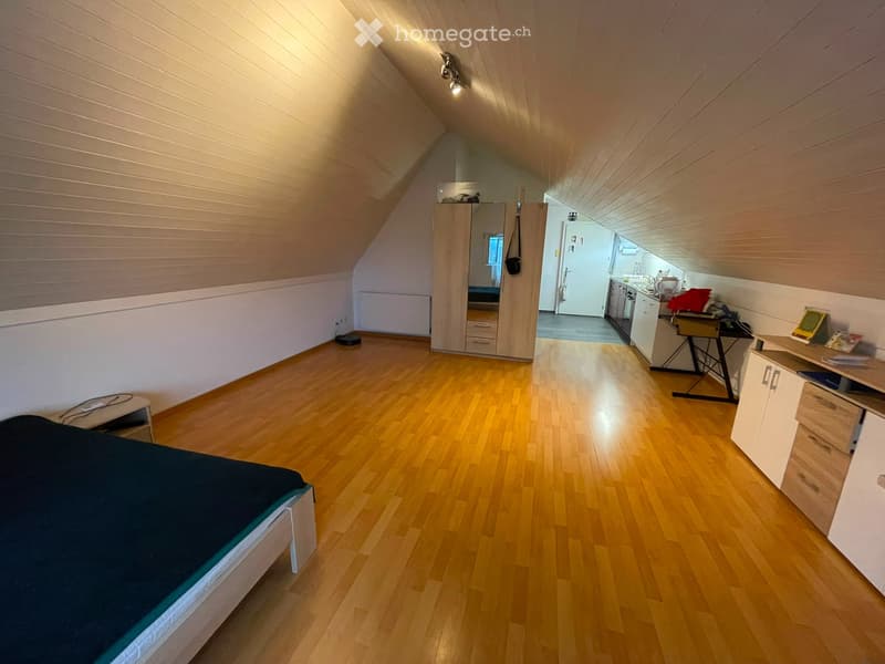 1 Zimmer-Wohnung in Oberrohrdorf mieten (4)