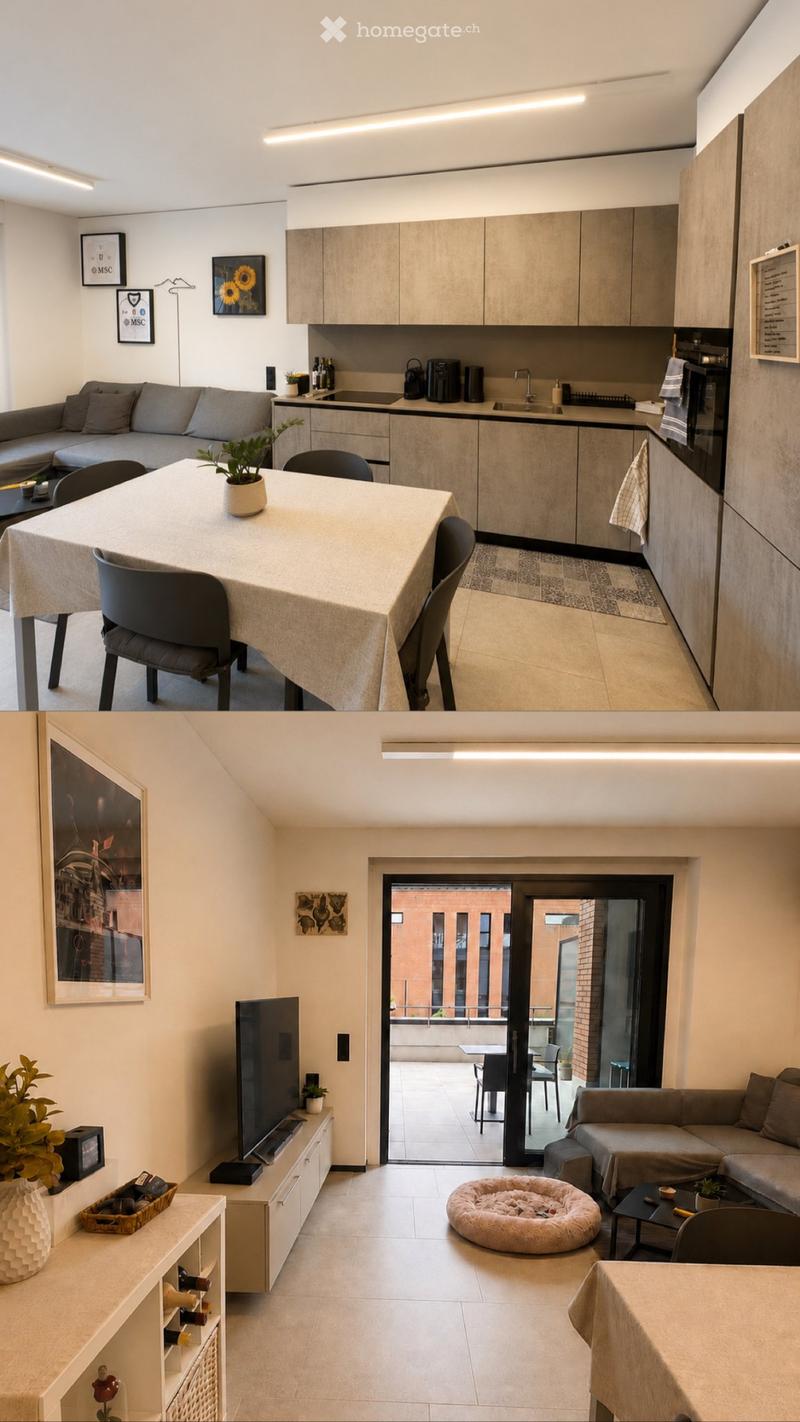 Moderno 2.5 arredato con grande terrazzo - Riva San Vitale (3)