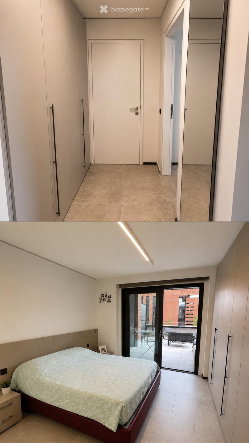 Moderno 2.5 arredato con grande terrazzo - Riva San Vitale (2)