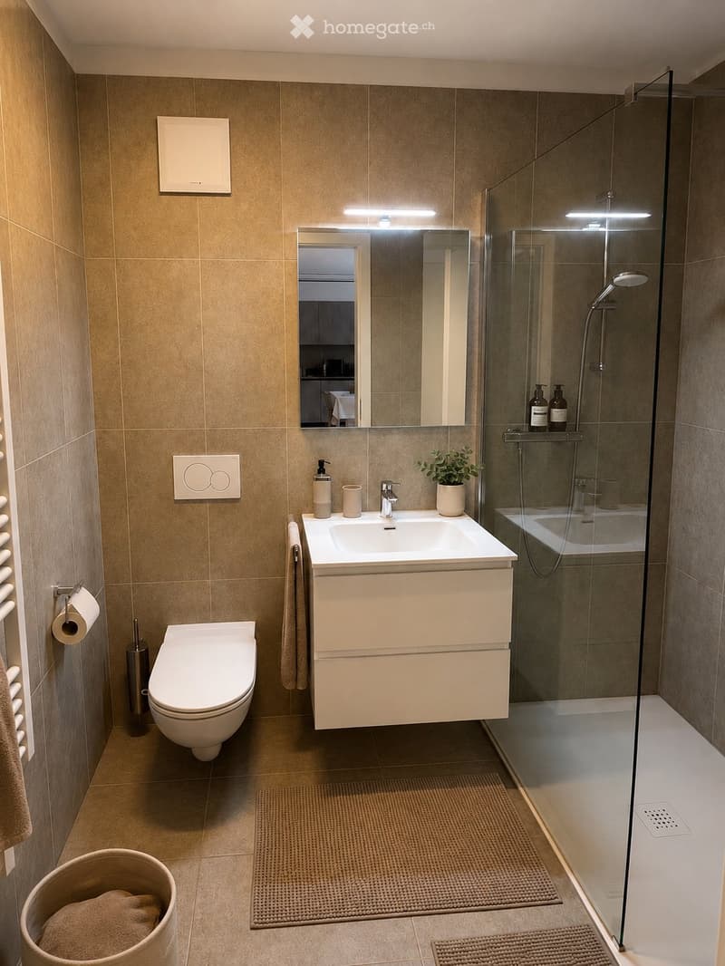 Moderno 2.5 arredato con grande terrazzo - Riva San Vitale (4)