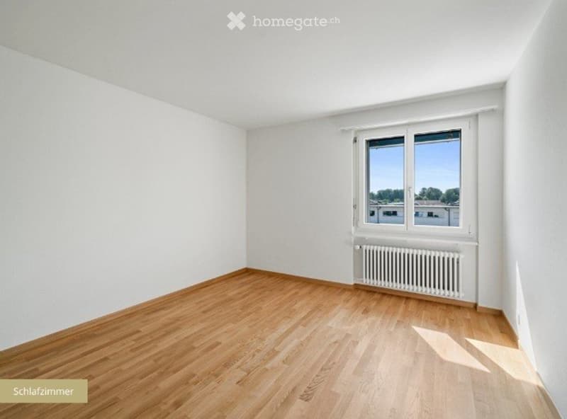 Blick auf den Pilatus & Erholung pur! (2)