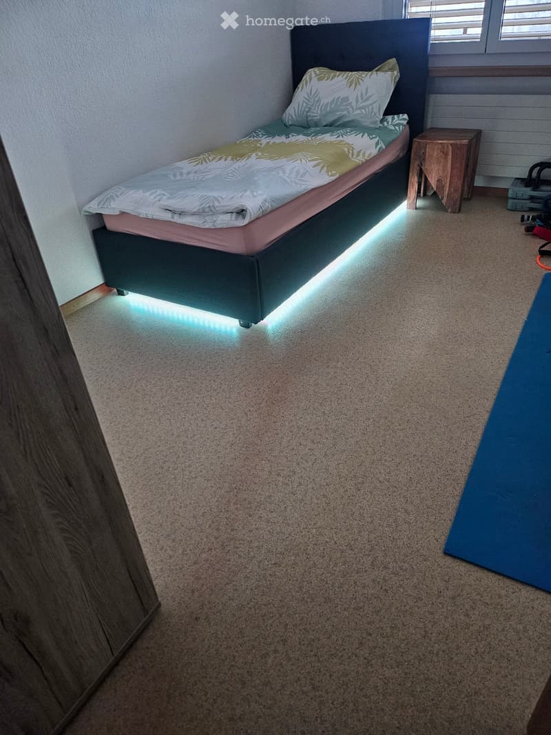 1 WG Zimmer zum Vermieten (Room for Rent) (5)