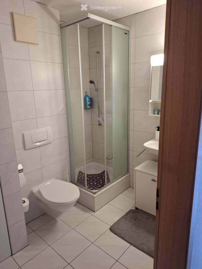 4.5 Zimmerwohnung in Salgesch zu vermieten (4)